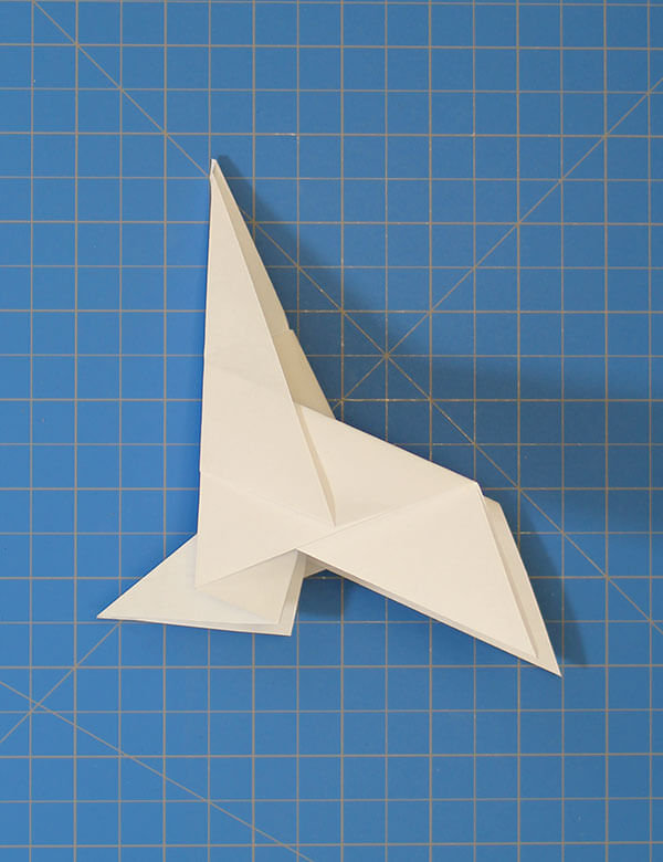 Step 8
